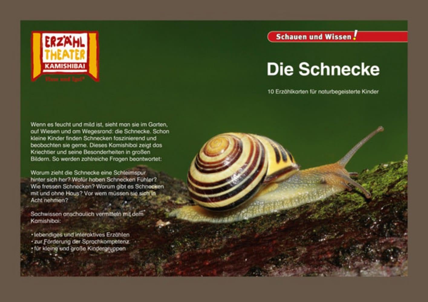 Die Schnecke / Kamishibai Bildkarten: 10 Fotobildkarten für das Erzähltheater Professional & Reference Books