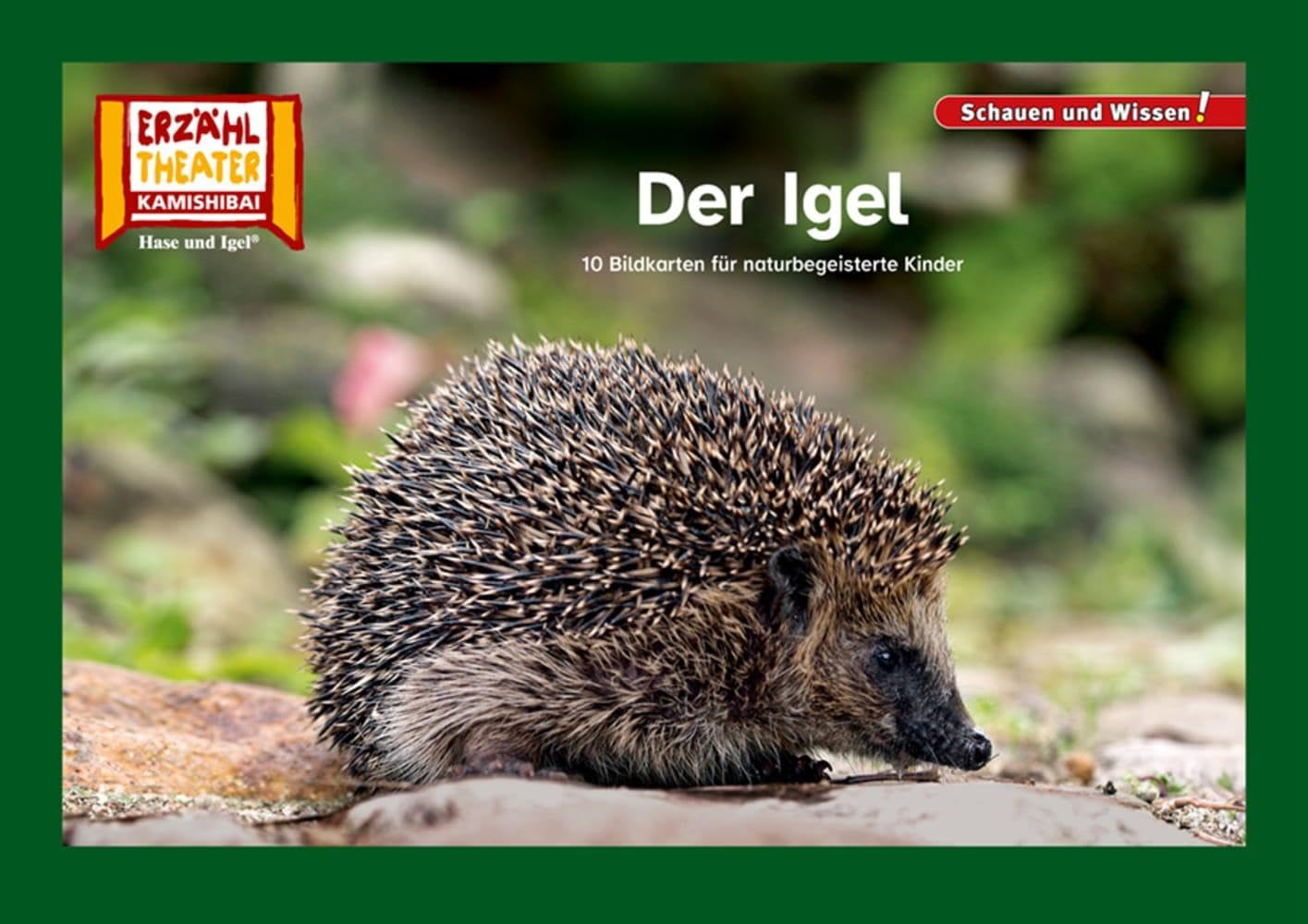 Der Igel / Kamishibai Bildkarten: 10 Fotobildkarten für das Erzähltheater (Schauen und Wissen!) Professional & Reference Books