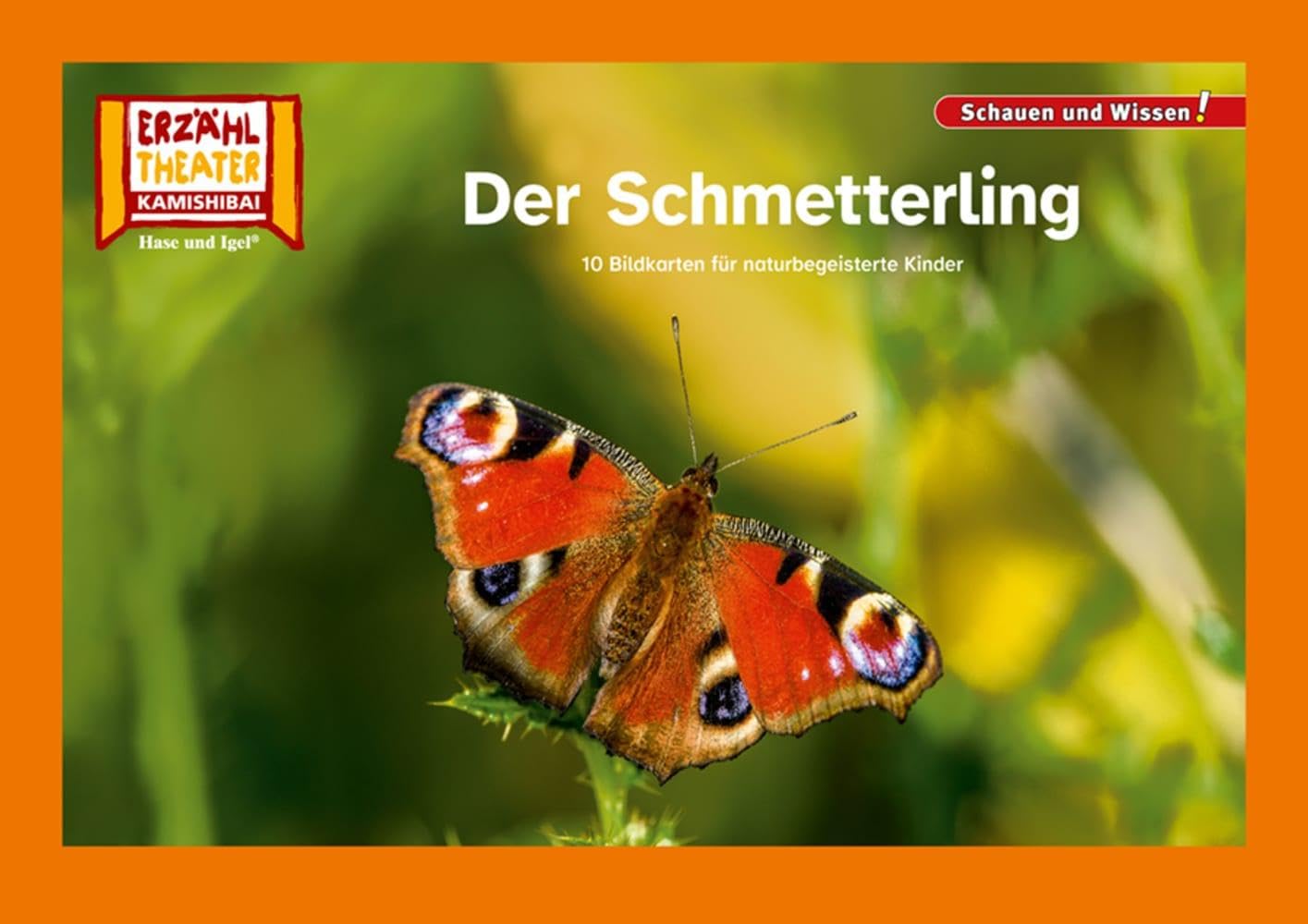 Der Schmetterling / Kamishibai Bildkarten: 10 Fotobildkarten für das Erzähltheater (Schauen und Wissen!) Professional & Reference Books