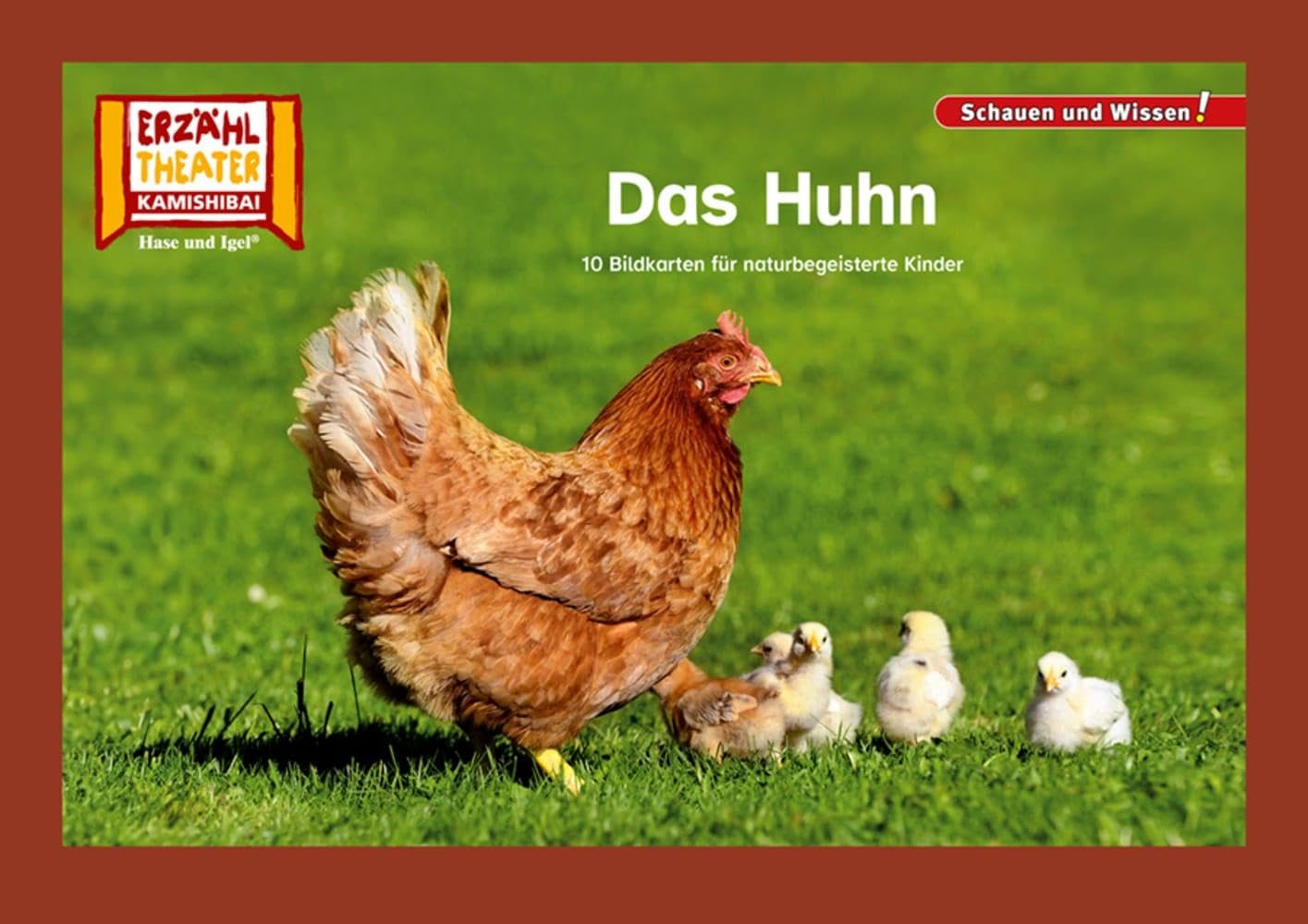 Das Huhn / Kamishibai Bildkarten: 10 Fotobildkarten für das Erzähltheater (Schauen und Wissen!) Professional & Reference Books