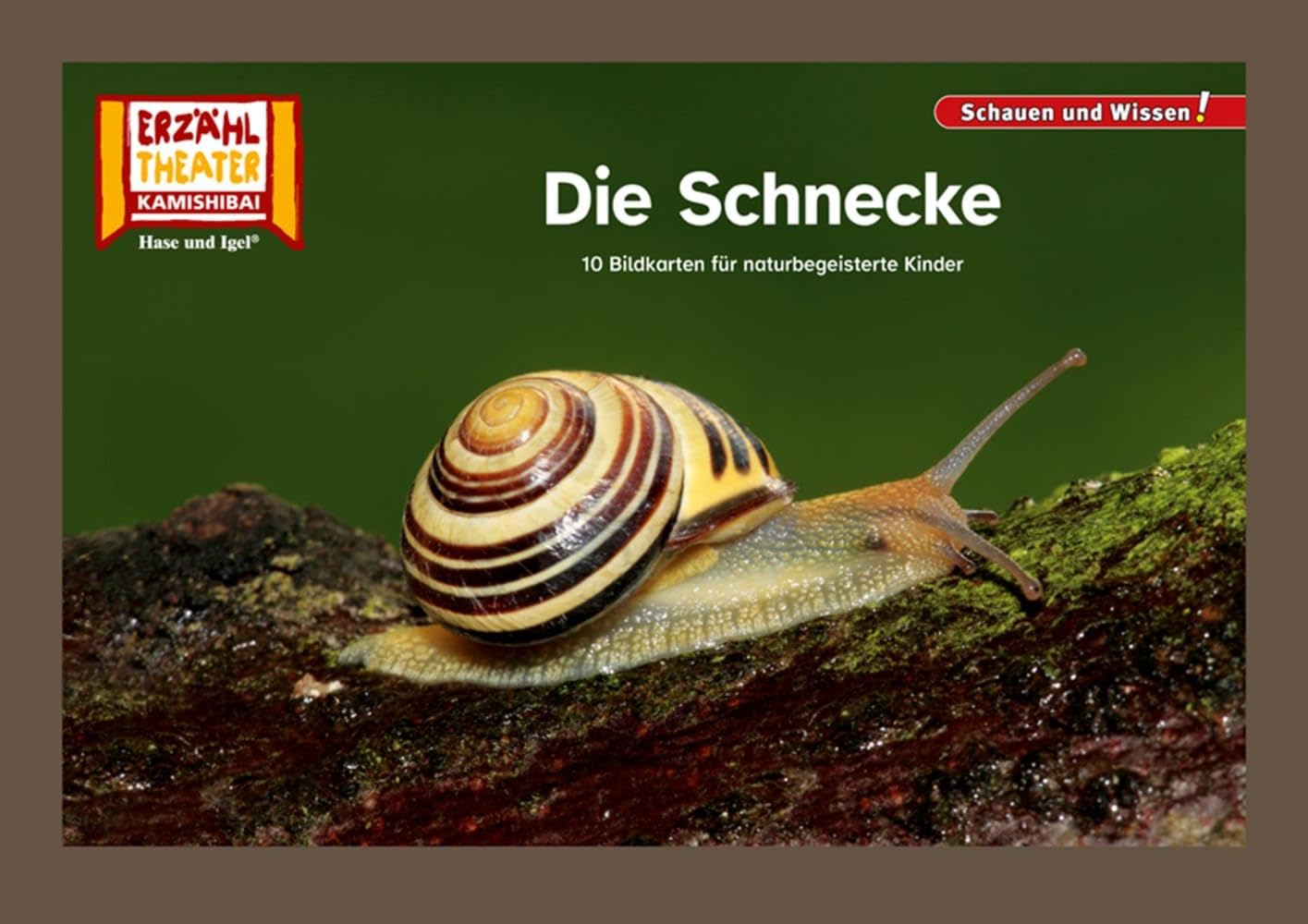 Die Schnecke / Kamishibai Bildkarten: 10 Fotobildkarten für das Kamishibai (Schauen und Wissen!) Professional & Reference Books