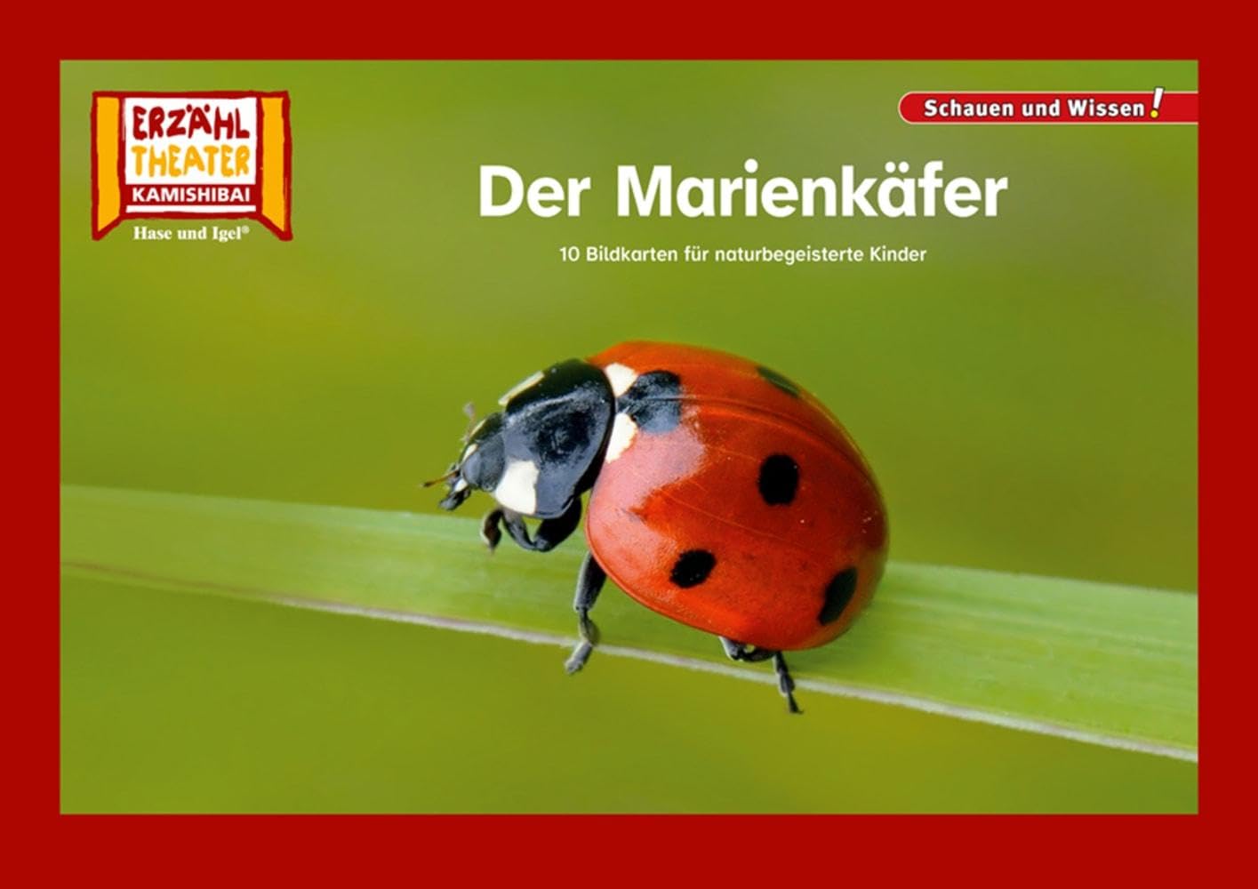 Der Marienkäfer / Kamishibai Bildkarten: 10 Fotobildkarten für das Erzähltheater (Schauen und Wissen!) Professional & Reference Books