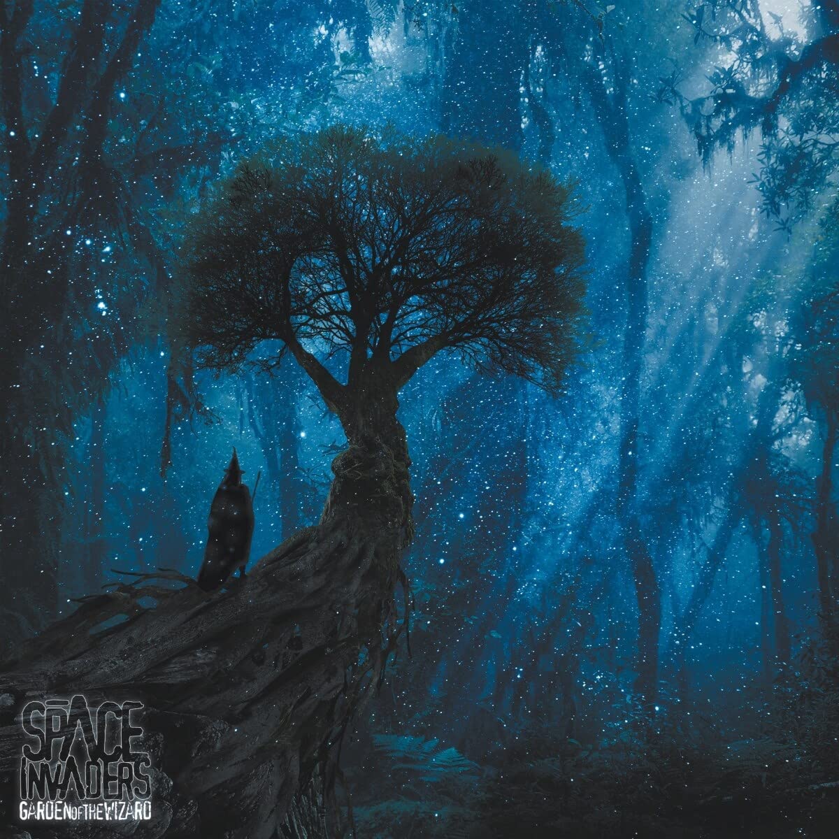 Product Image: Garden of the Wizard (Digipak)