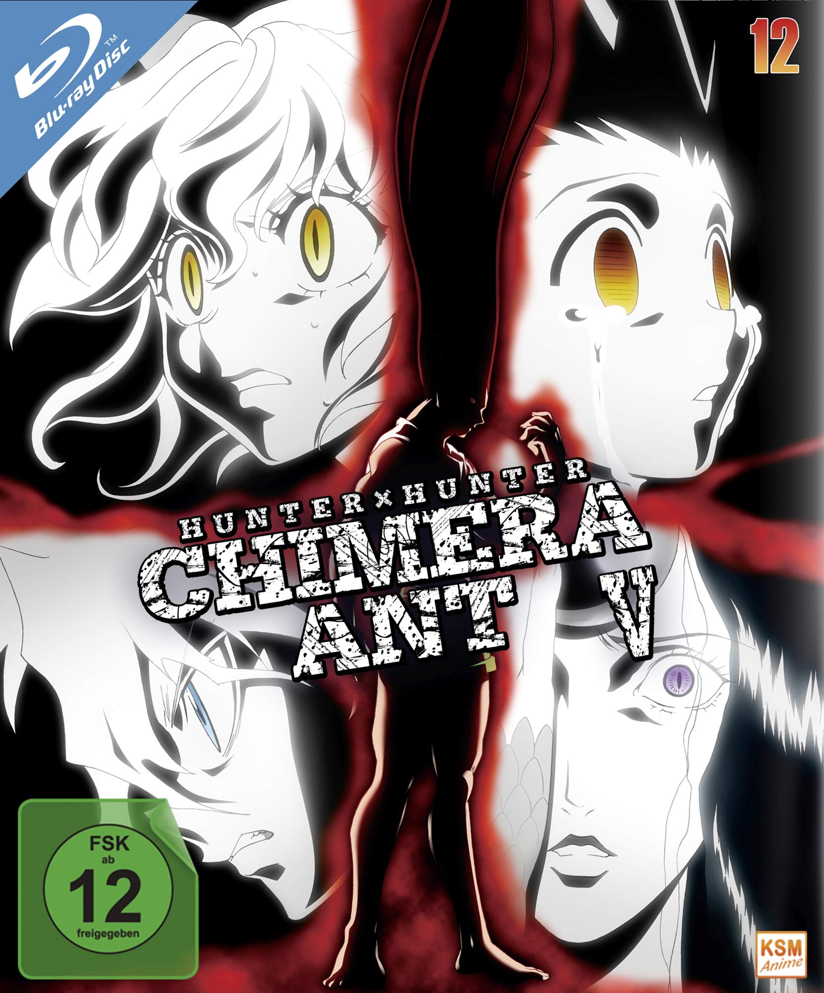 Product Image: Hunter x Hunter