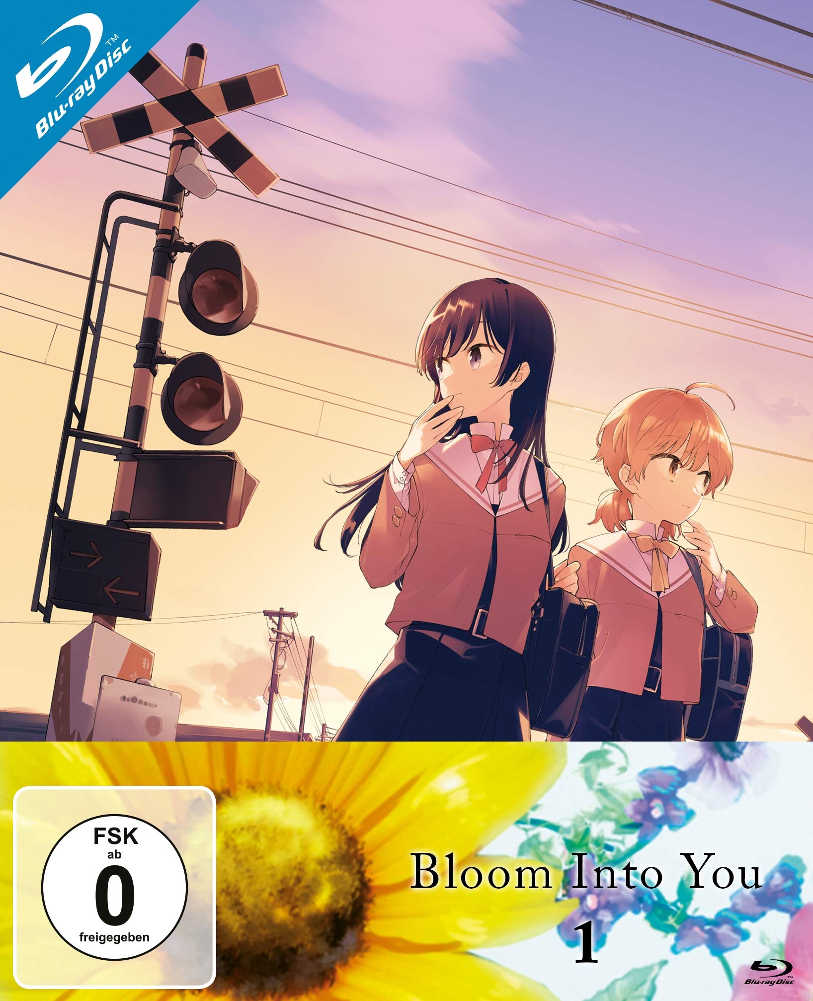 Bloom into you - Volume 1 (Episode 1-4) Box sets
