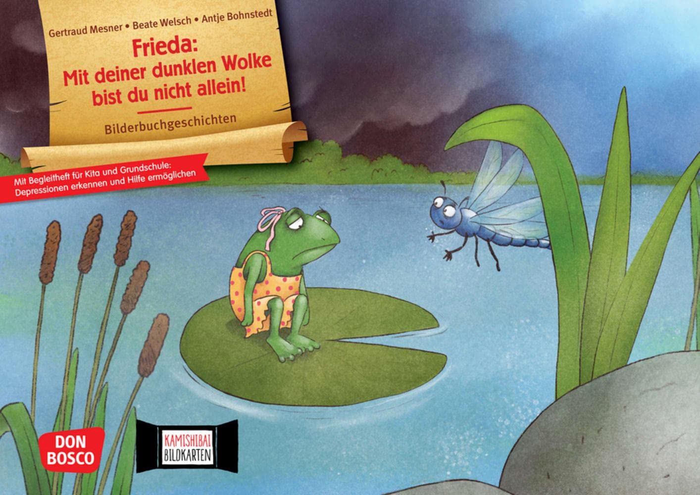 Frieda: Mit deiner dunklen Wolke bist du nicht allein! Kamishibai Bildkartenset: Wenn nichts mehr Spaß macht: über die Krankheit Depression mit ... in Kita, Grundschule und Förderschule) Health, Nutrition & Fitness