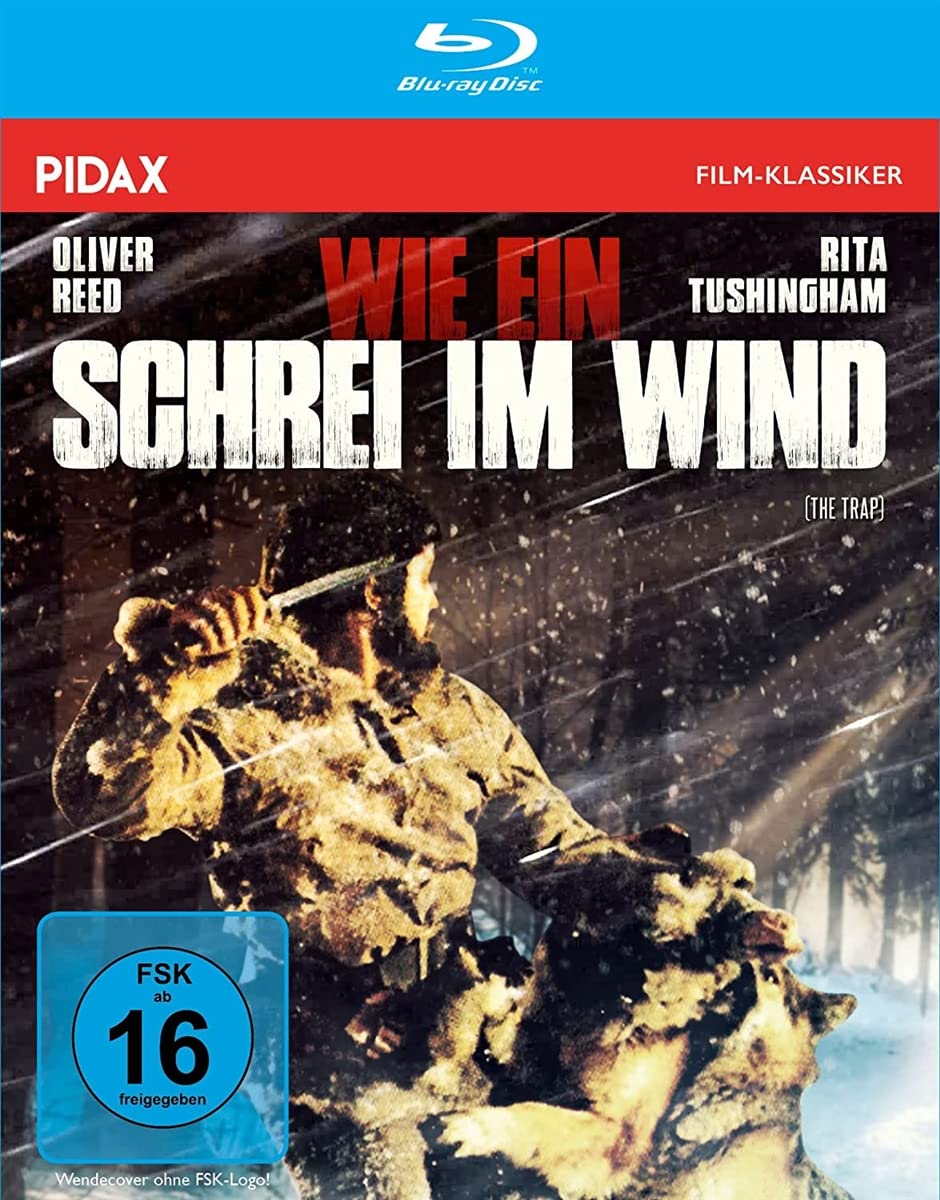 Product Image: Wie ein Schrei im Wind