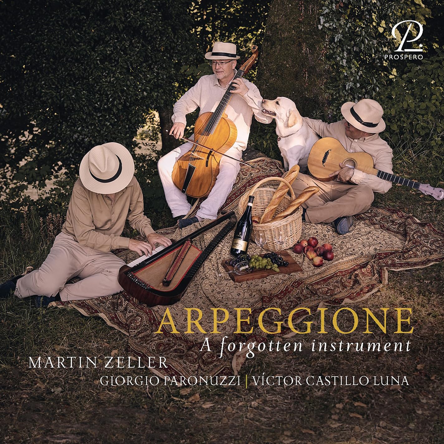 Arpeggione - A forgotten Instrument Classical