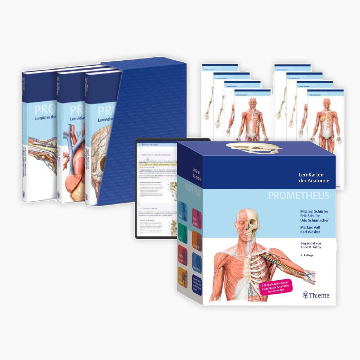 PROMETHEUS LernPaket Anatomie + LernKarten der Anatomie + 1 exklusives Postkartenset Medicine