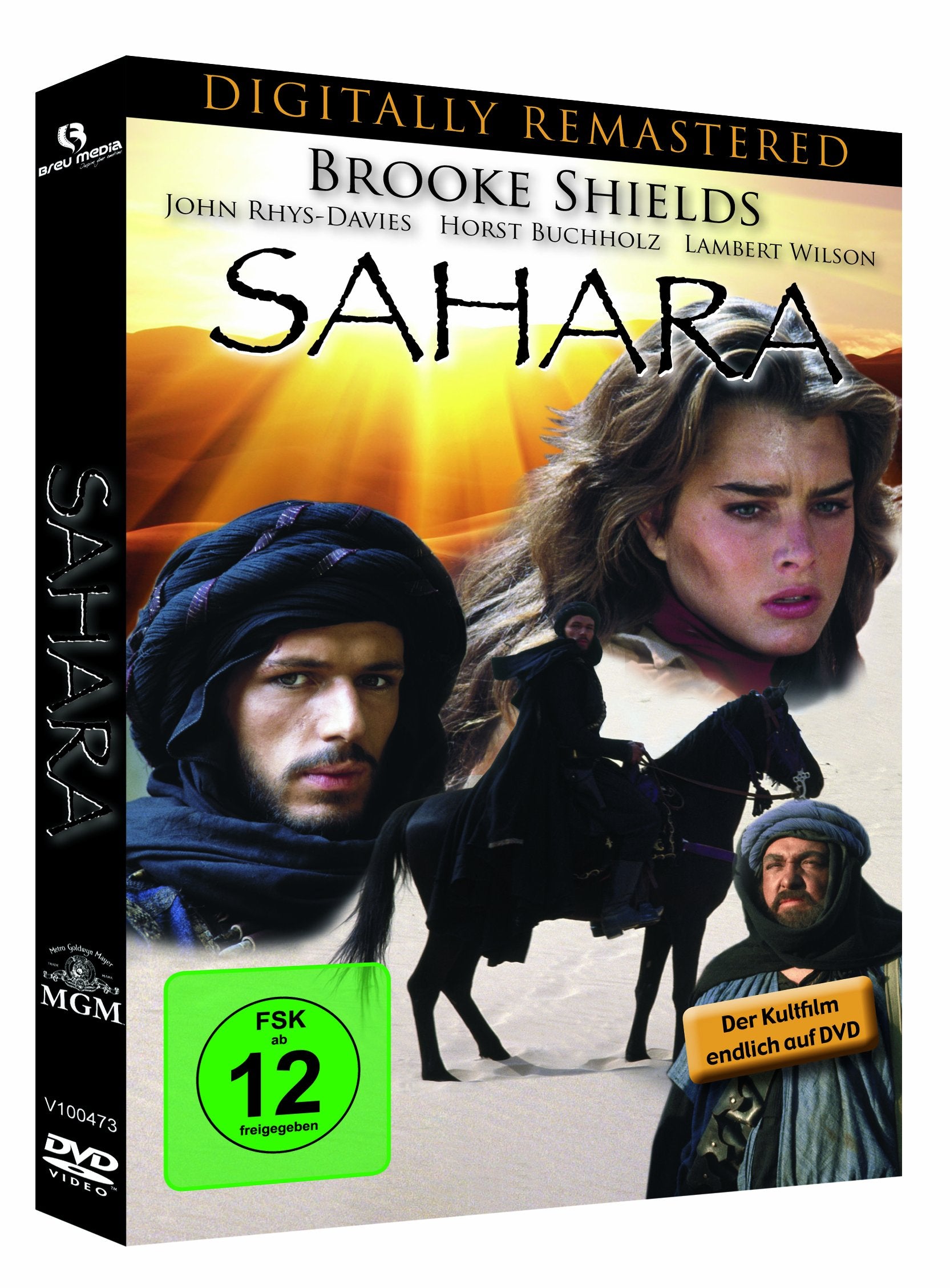 Sahara - Der Kinofilm (digital remastered) Films