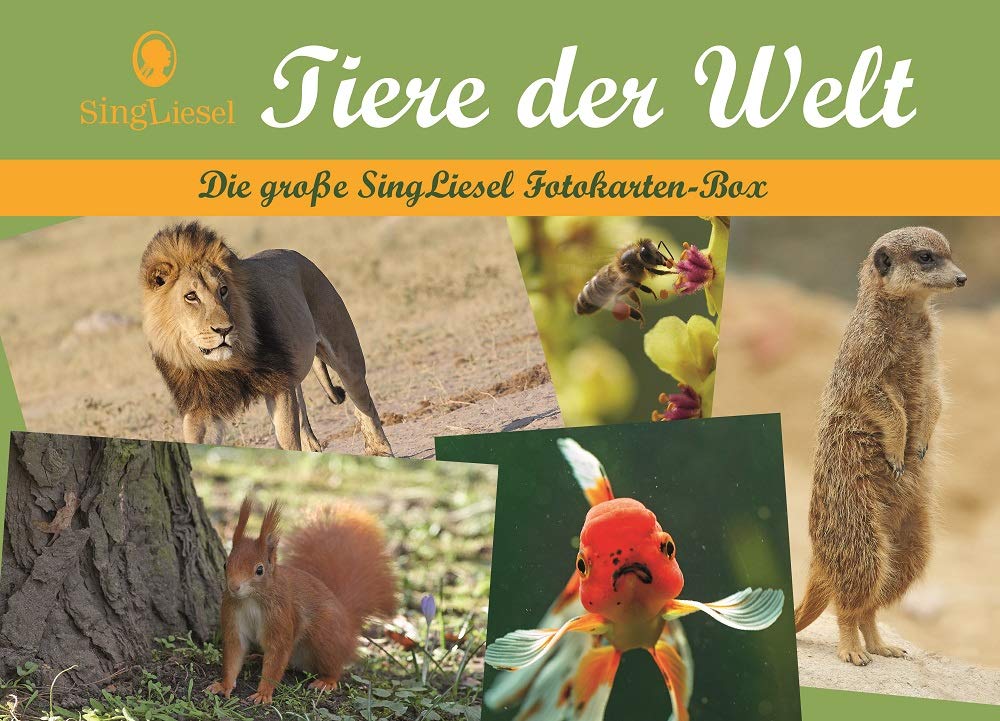 Tiere der Welt - Die SingLiesel Fotokarten-Box: Die große SingLiesel Fotokarten-Box: Die große SingLiesel-Fotokarten-Box Tiere aus aller Welt Card Games