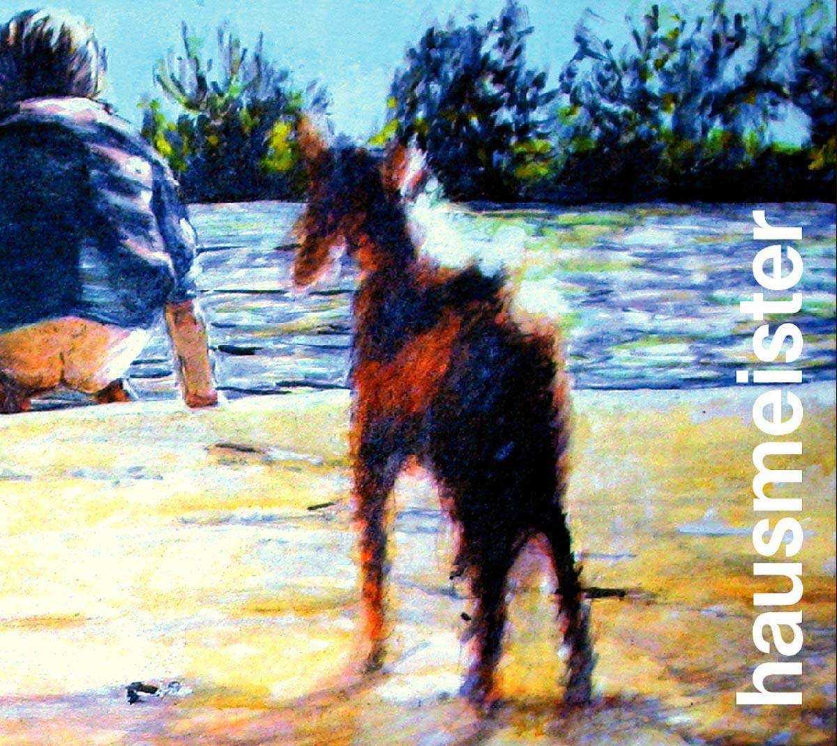 Hausmeister - Water Wasser cd