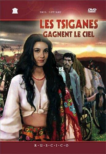 Les Tsiganes gagnent le ciel Films