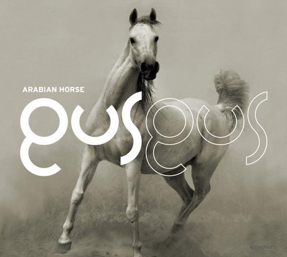Product Image: Arabian Horse