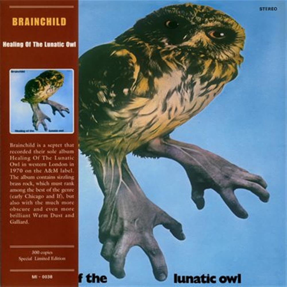 Healing of the Lunatic Owl Metal & Hardrock
