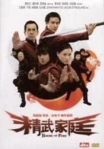 House of Fury (2 Disc Special Edition) ( DVD Films