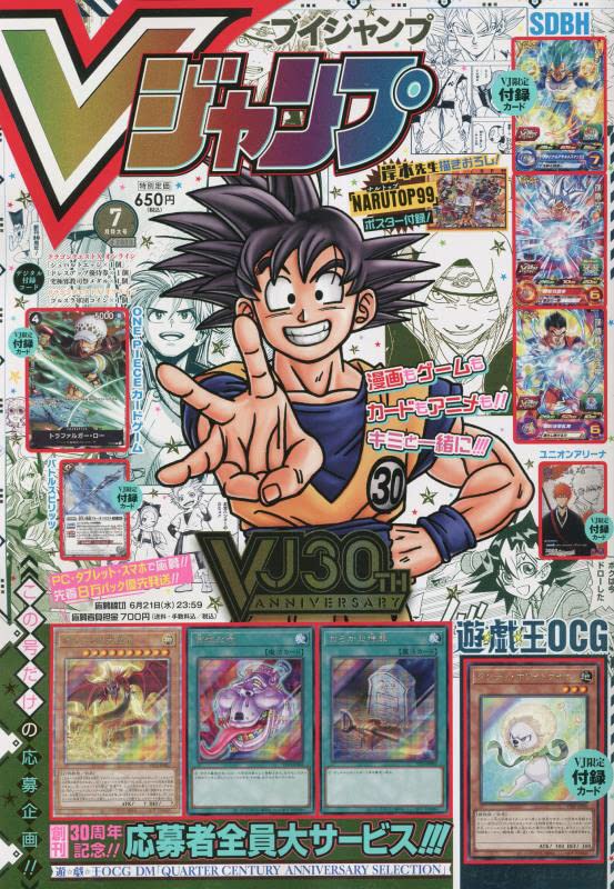 Vジャンプ(30周年記念) 2023年 07 月号 book