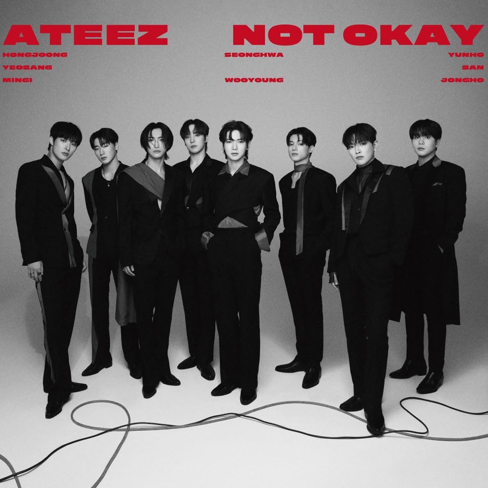 Not Okay - Limited B Type Edition - Inkl. Photoboo Music