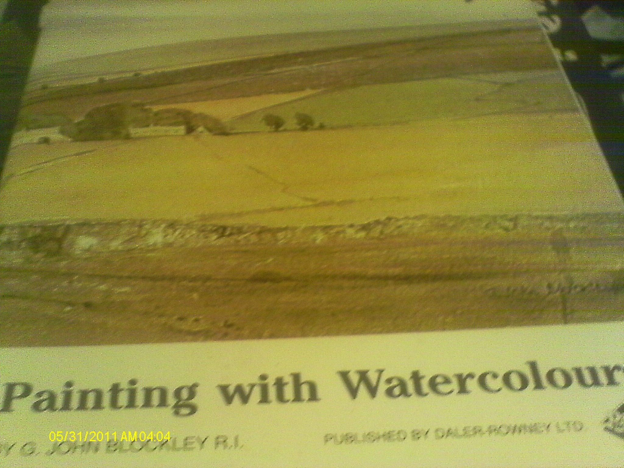 Painting with Watercolours book