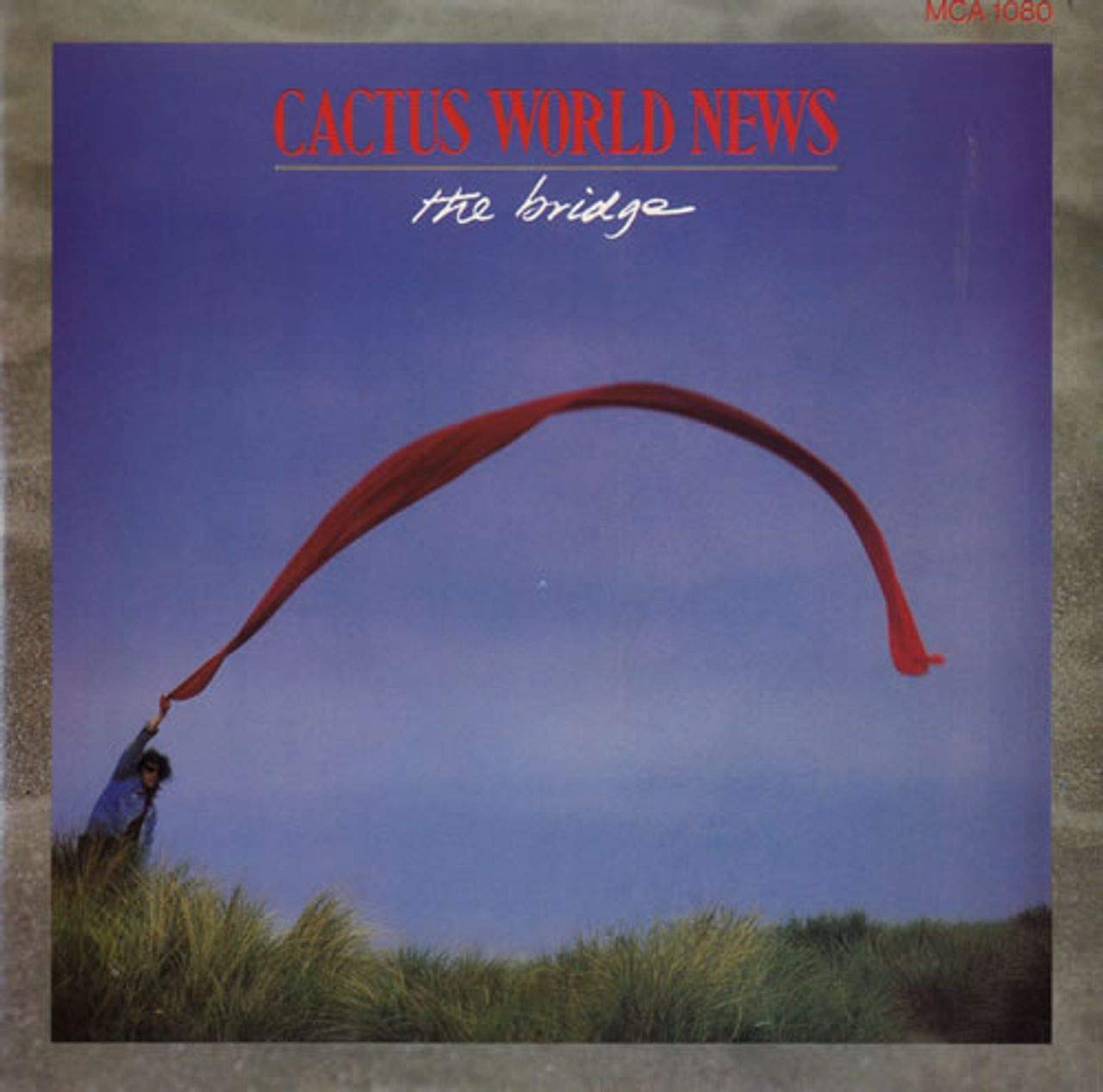 CACTUS WORLD NEWS - THE BRIDGE - 7 INCH VINYL / 45 Music