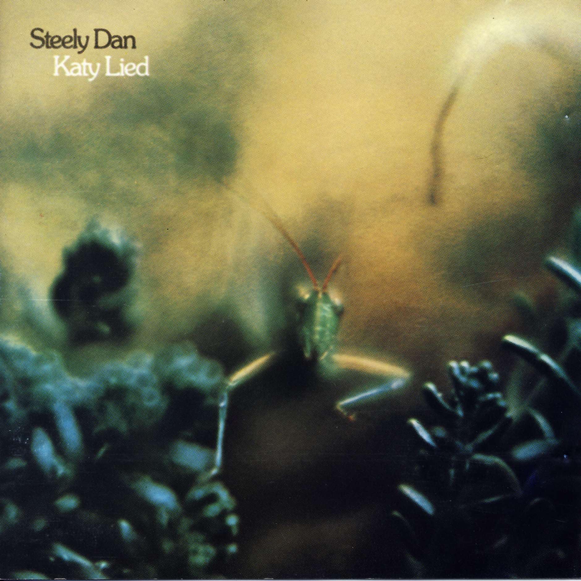 Katy Lied Jazz
