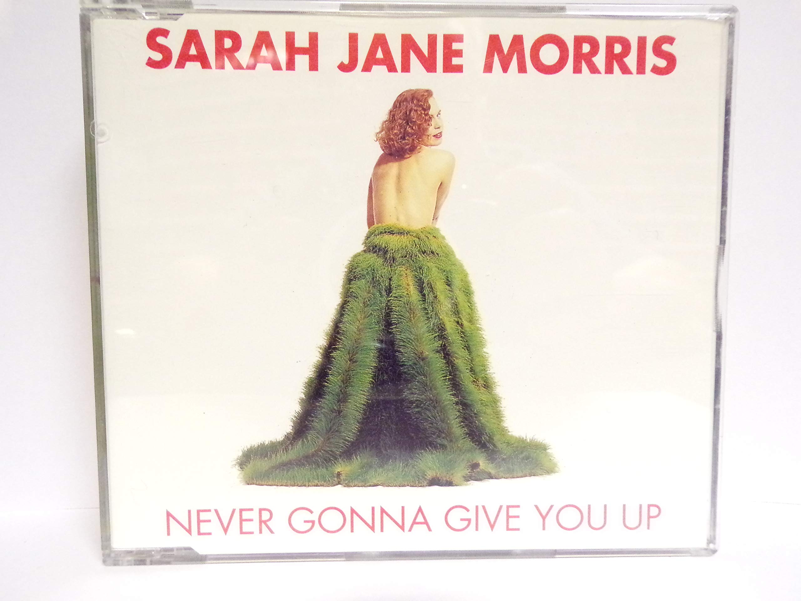 Product Image: Never Gonna Give You Up