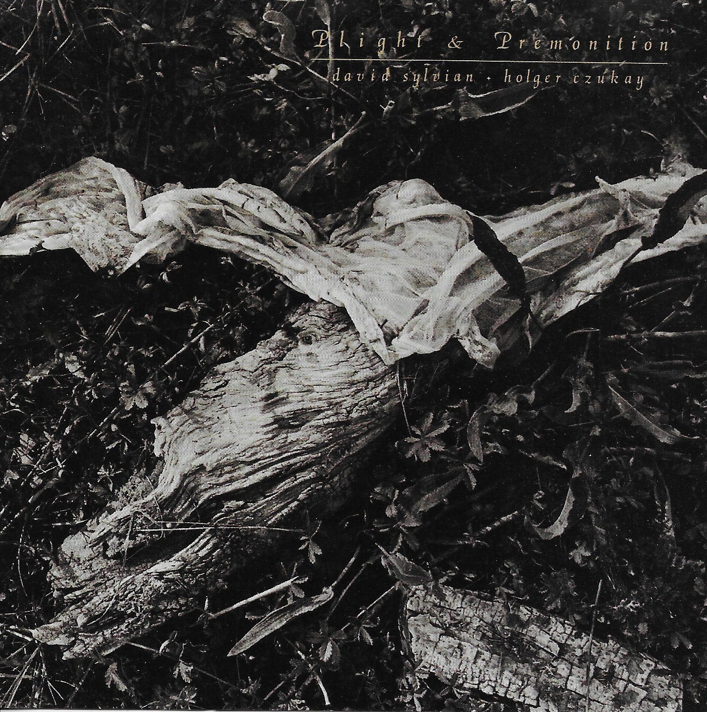 Product Image: Plight and Premonition