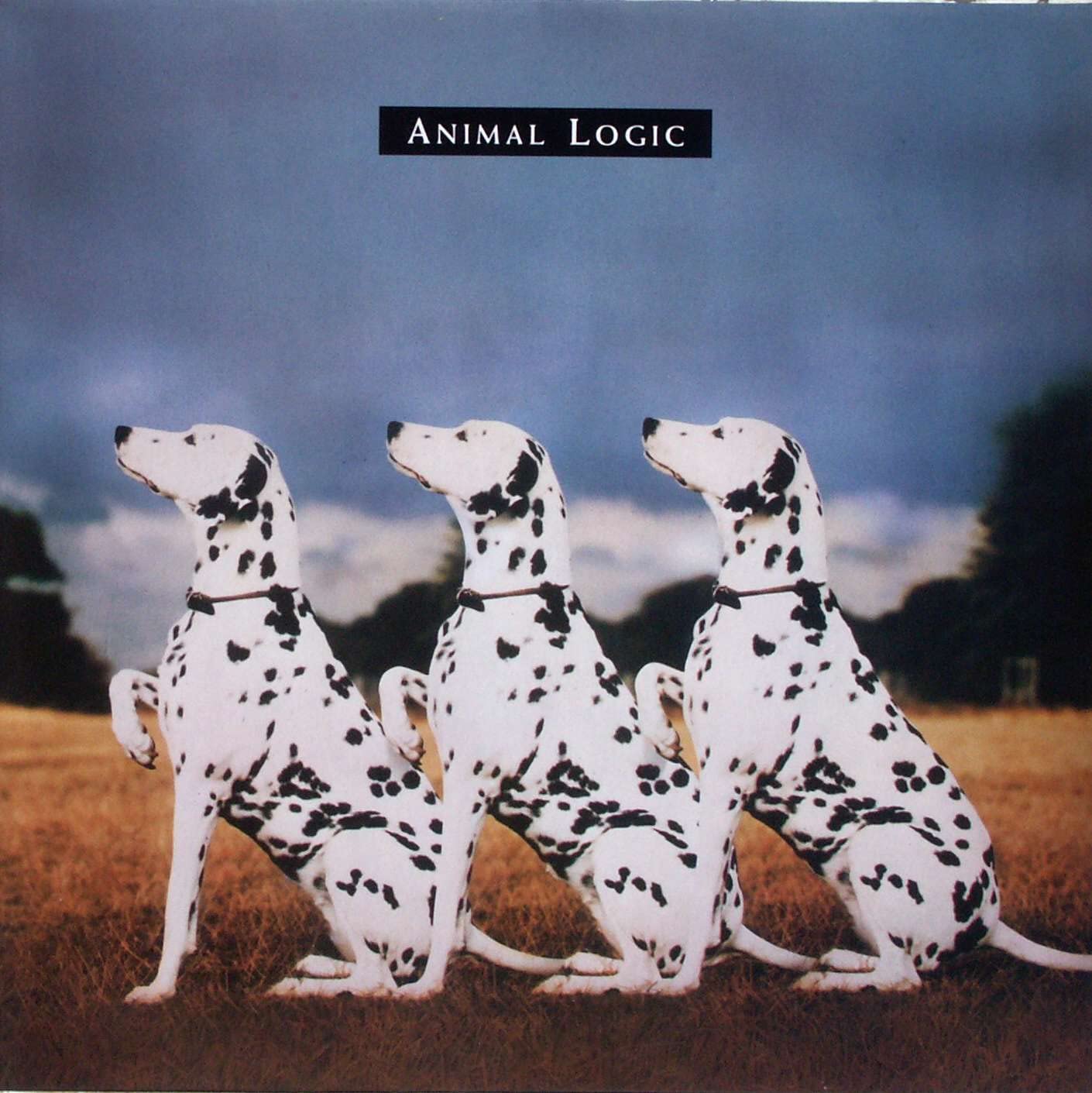 Same (1989) Jazz