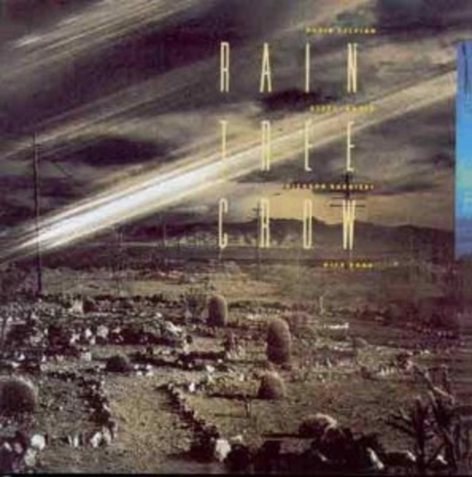 Rain Tree Crow (1991) Music