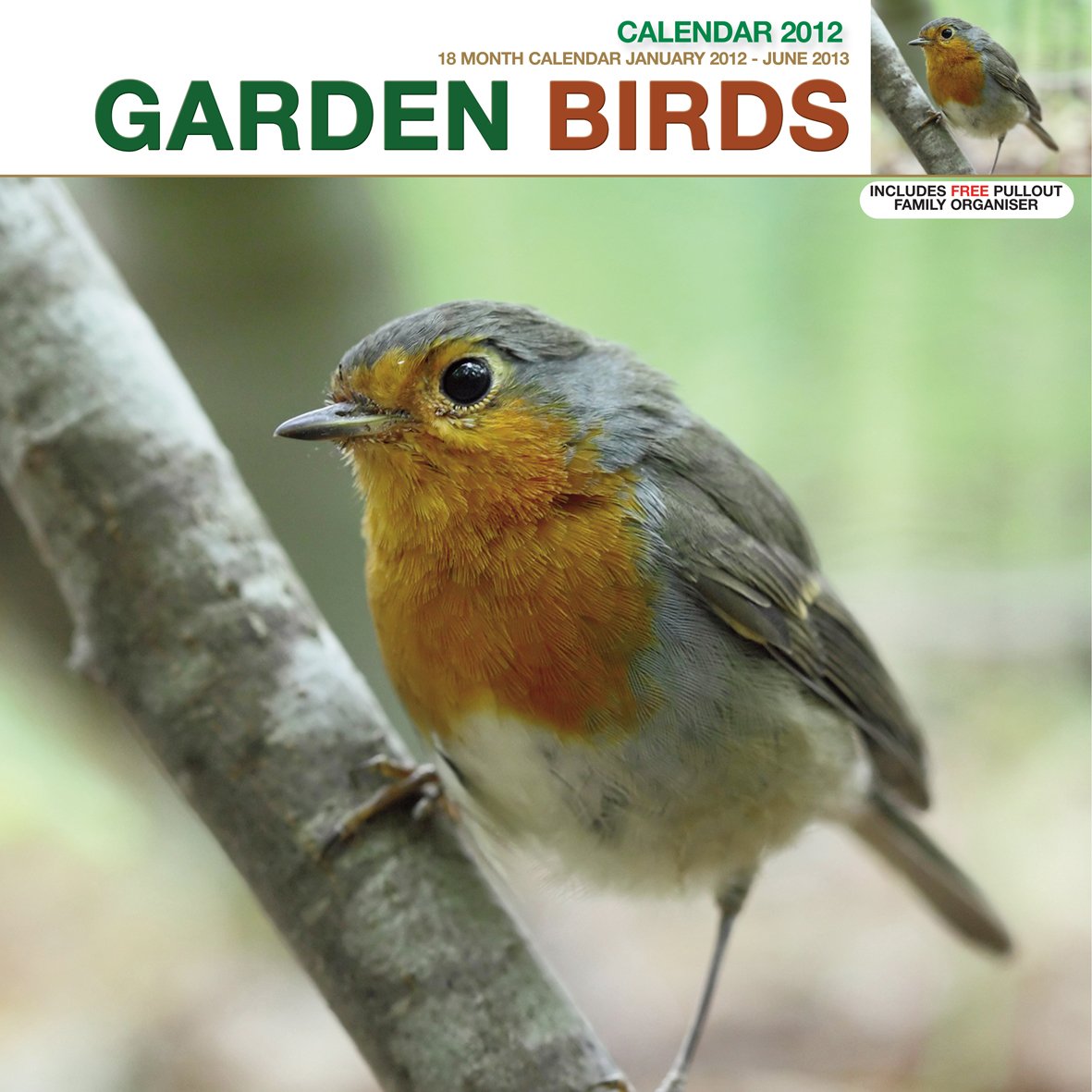 GARDEN BIRDS book