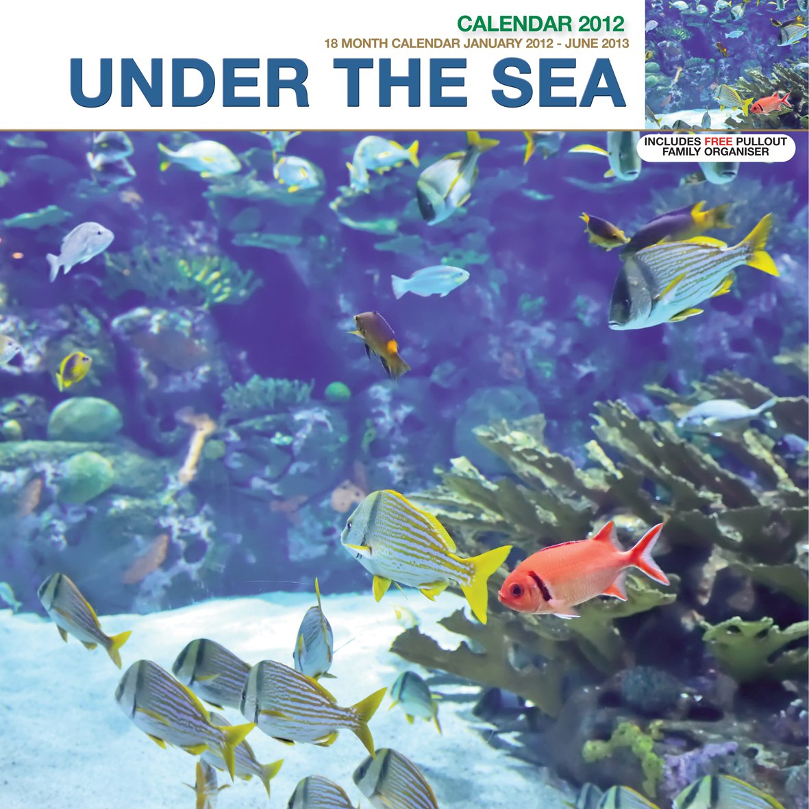 UNDER THE SEA Books