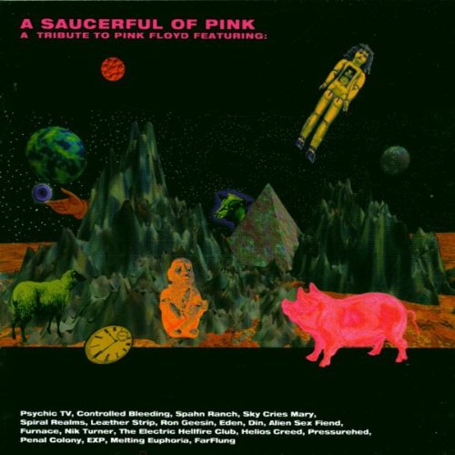 Saucerful of Pink/Trib.to Pink Metal & Hardrock