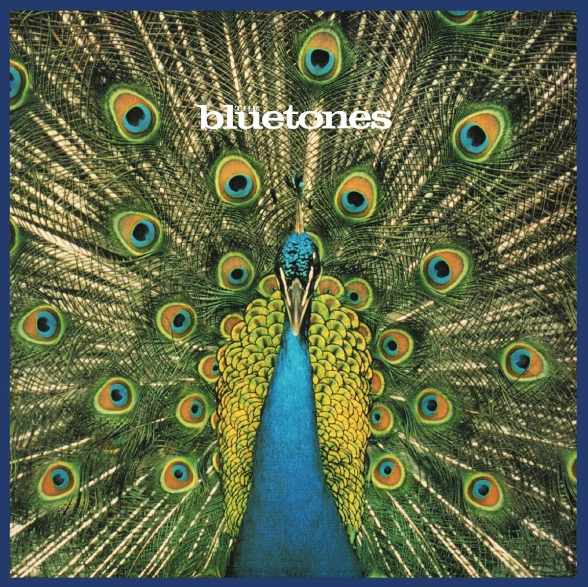Expecting to Fly (Limited ed.Heavyweight Lp+Mp3) Alternative & Indie
