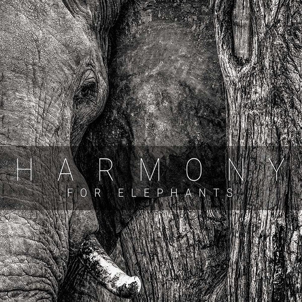 Harmony for Elephants ~ a Charity Album Rock