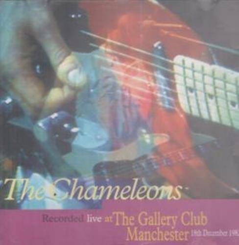 Live At The Gallery Club, Manchester, 1982 Pop