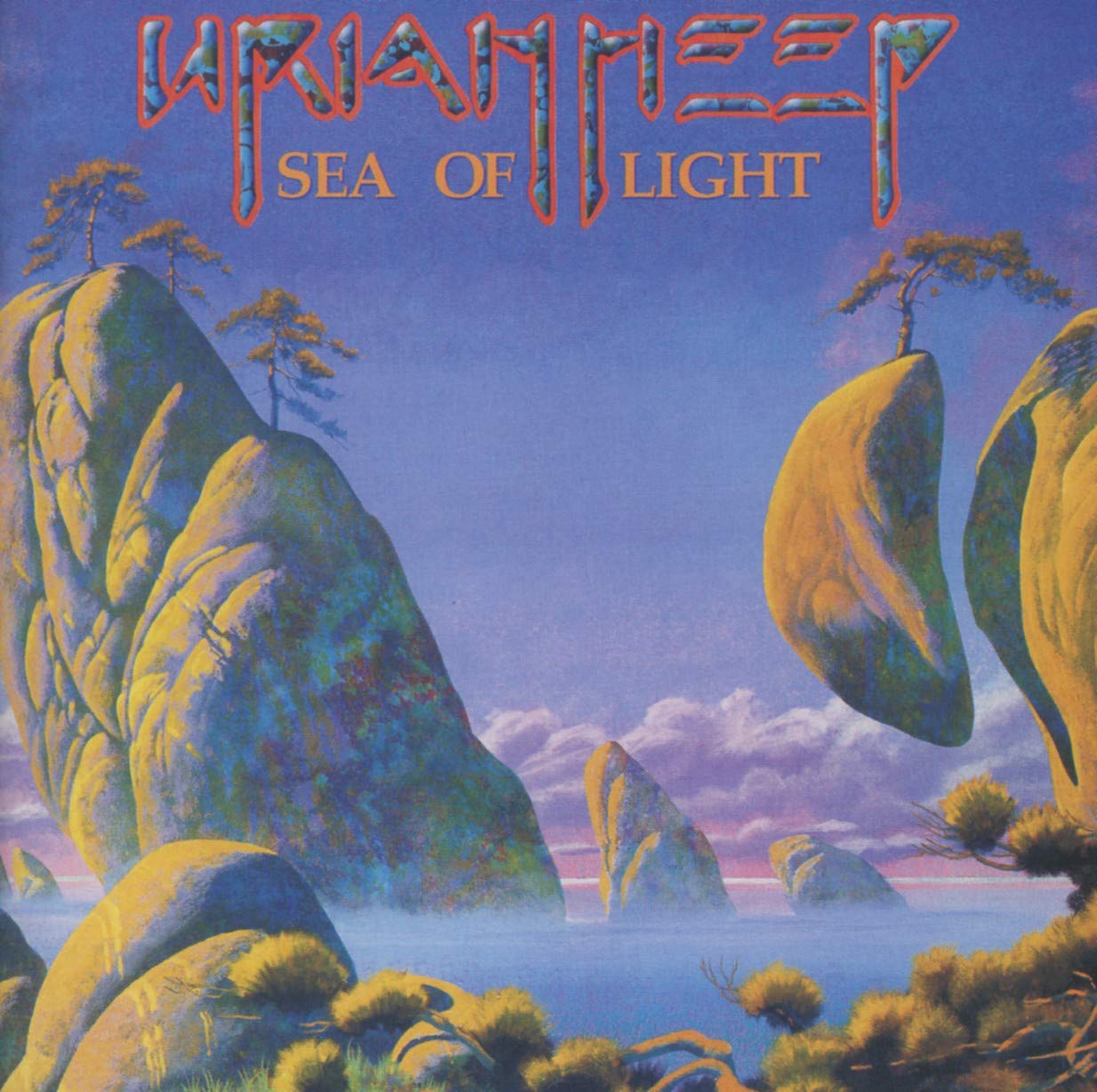 Product Image: Sea of Light