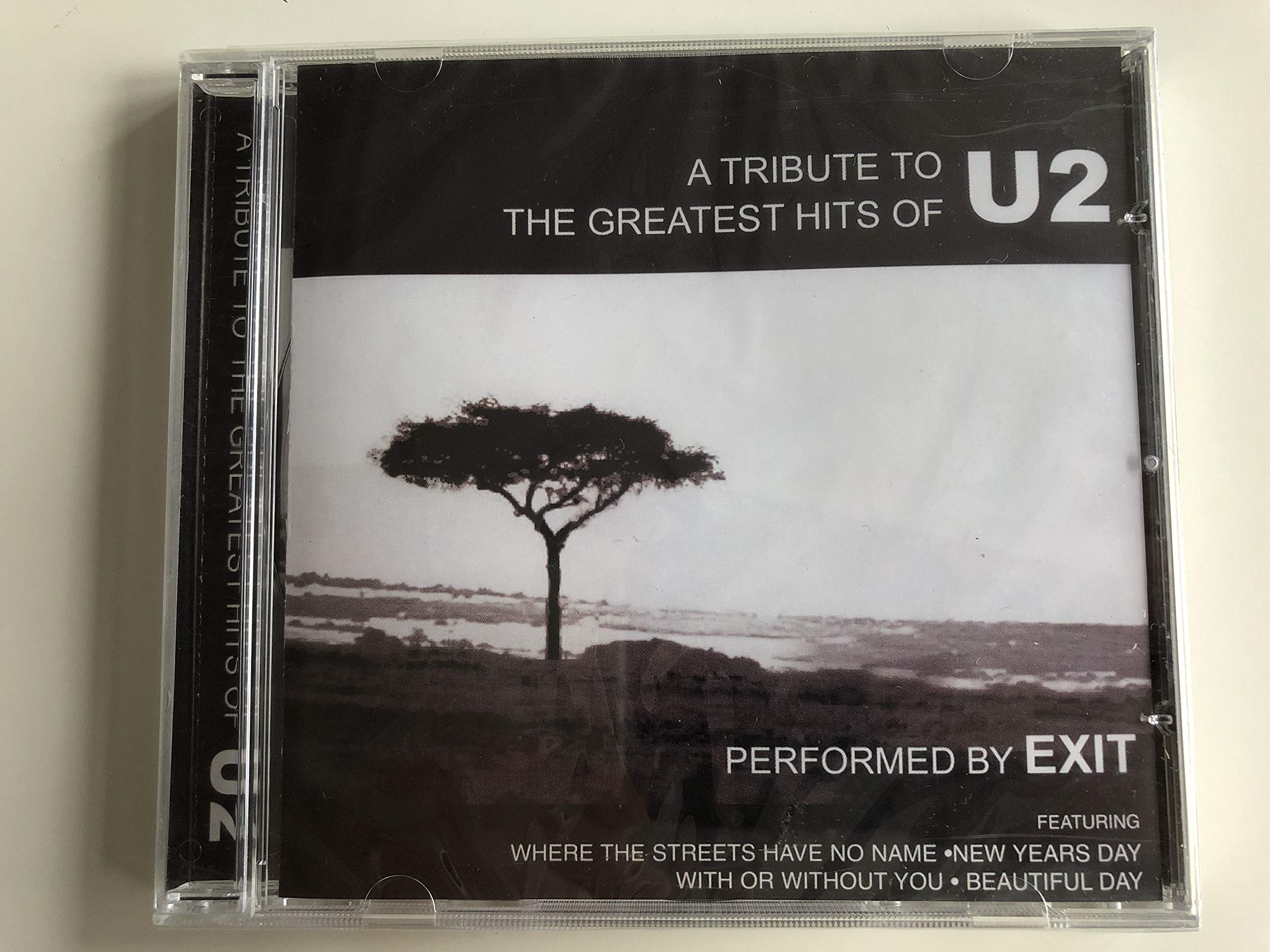 A Tribute to U2 Pop