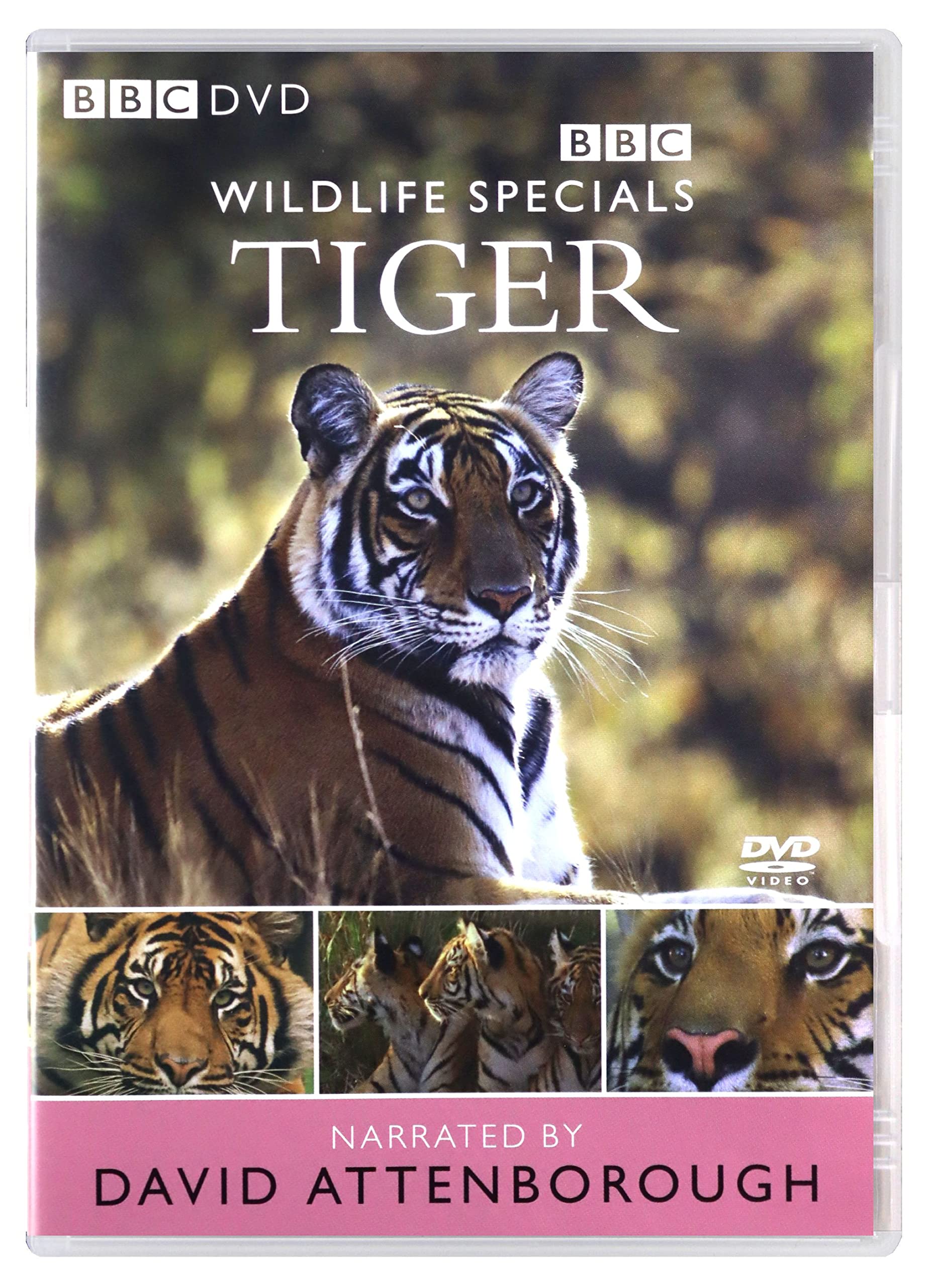 Product Image: Wildlife Specials: Tiger