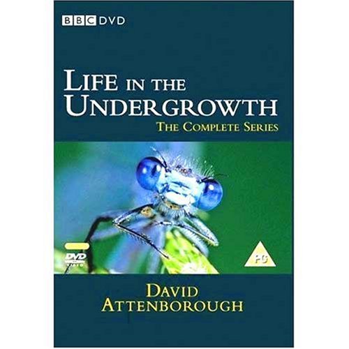 David Attenborough - Life In The Undergrowth Films