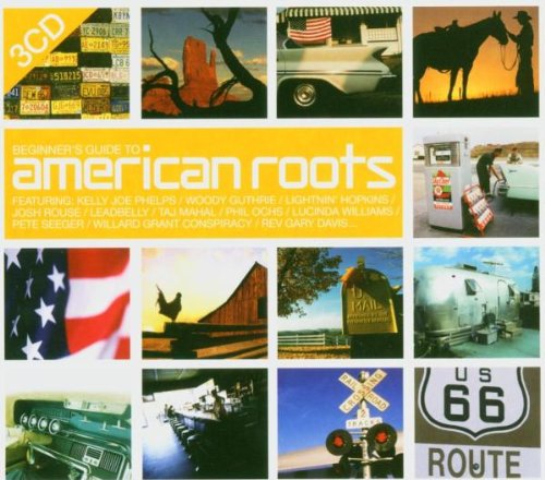 Product Image: Beginner'S Guide to American Riots