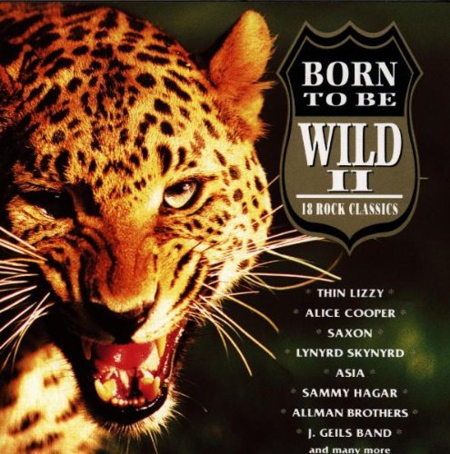 Born to Be Wild-Vol.2 Metal & Hardrock