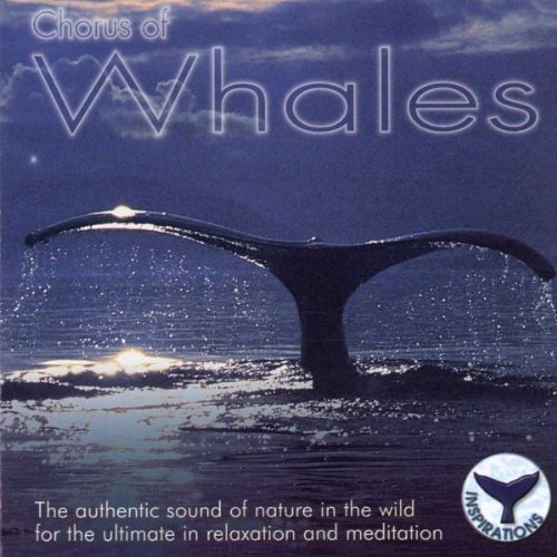 Chorus of Whales Other music genres