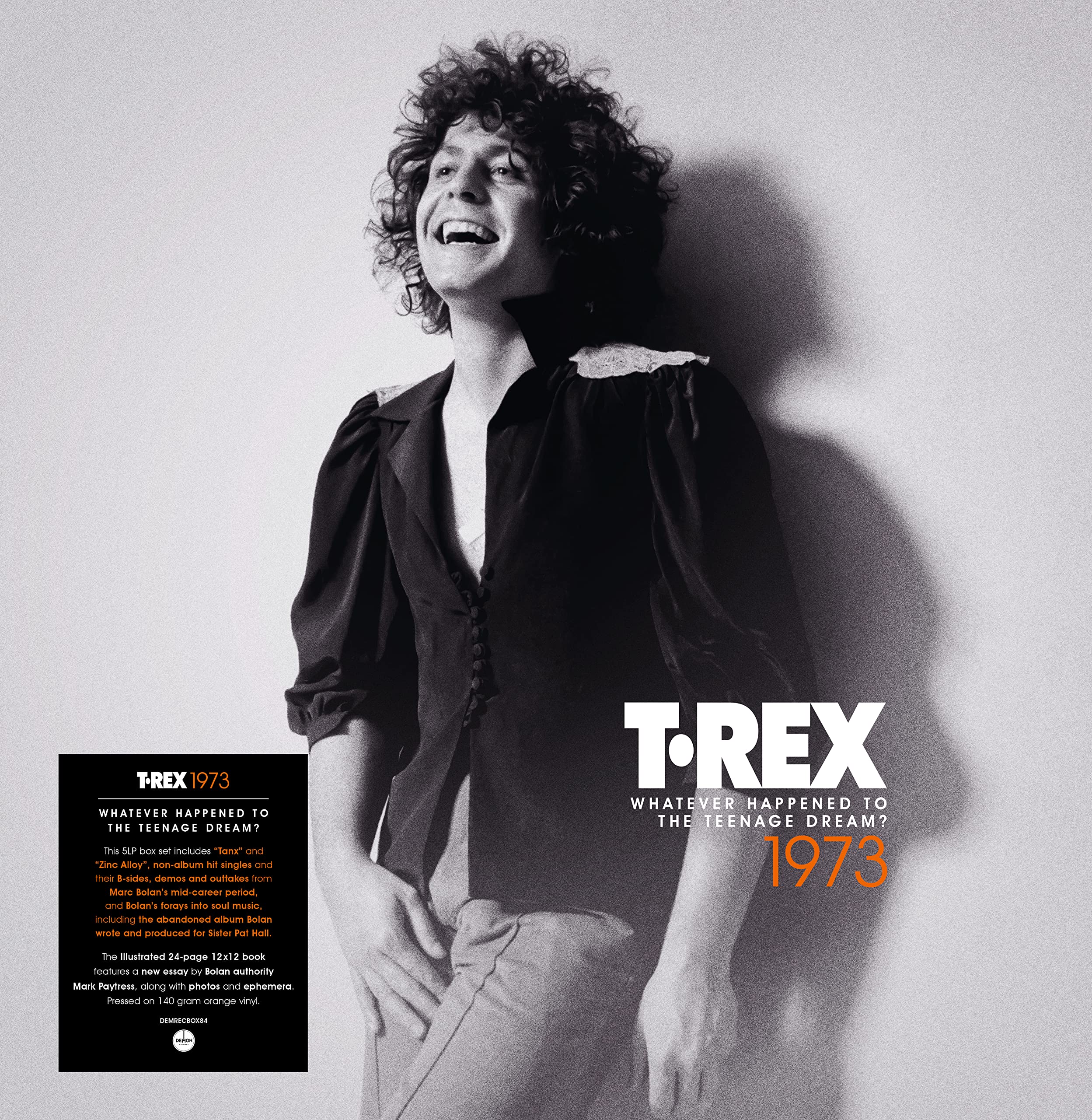 1973: Whatever Happened to the Teenage Dream? Rock