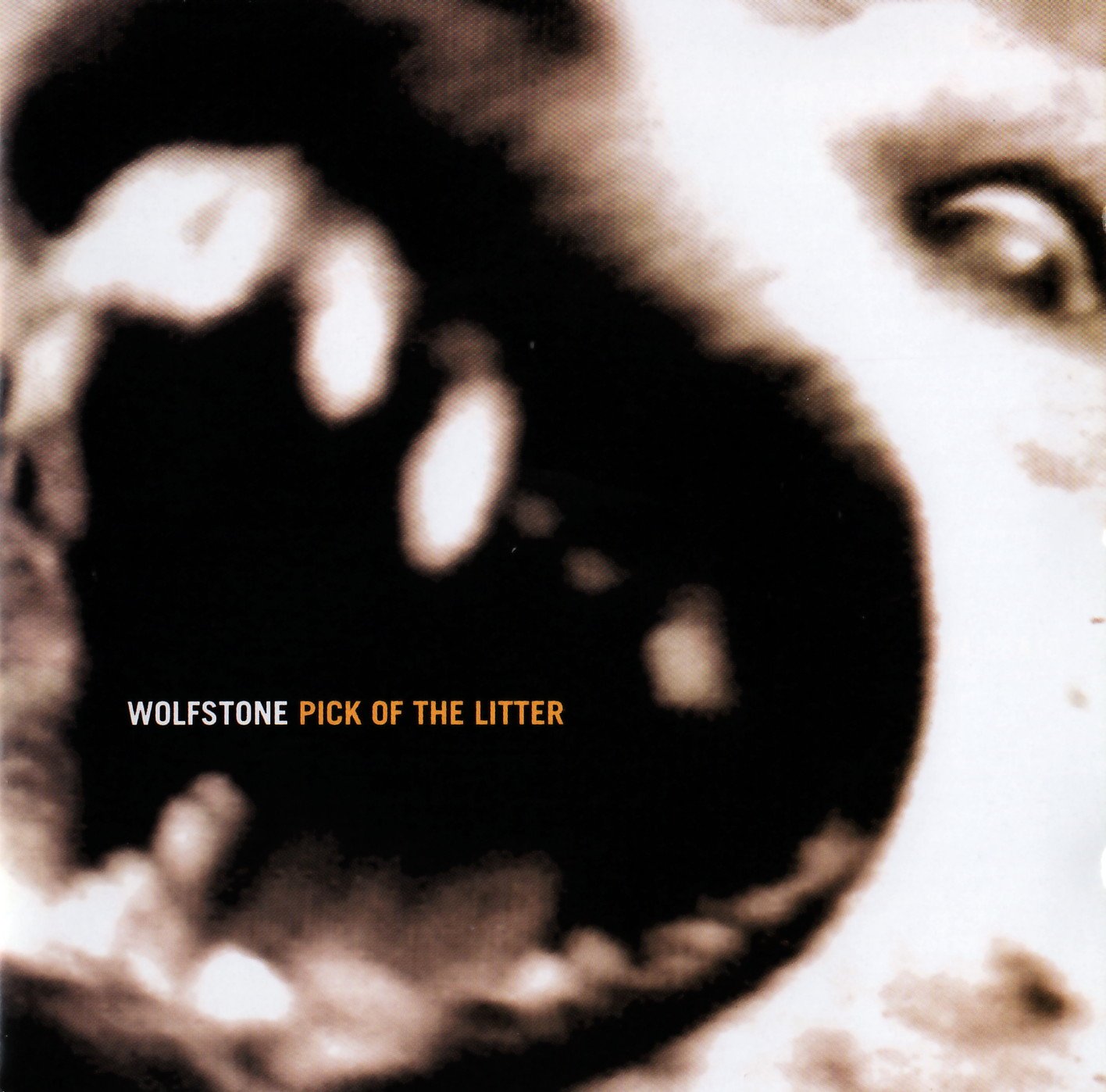 Pick Up the Litter Other music genres