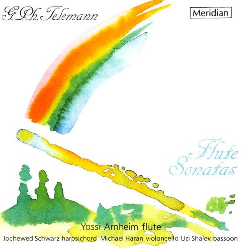 Flute Sonatas: Methodische Sonaten Classical