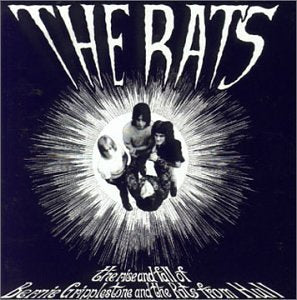The Rise and Fall of Bernie Gripplestone and the Rats from Hull Pop
