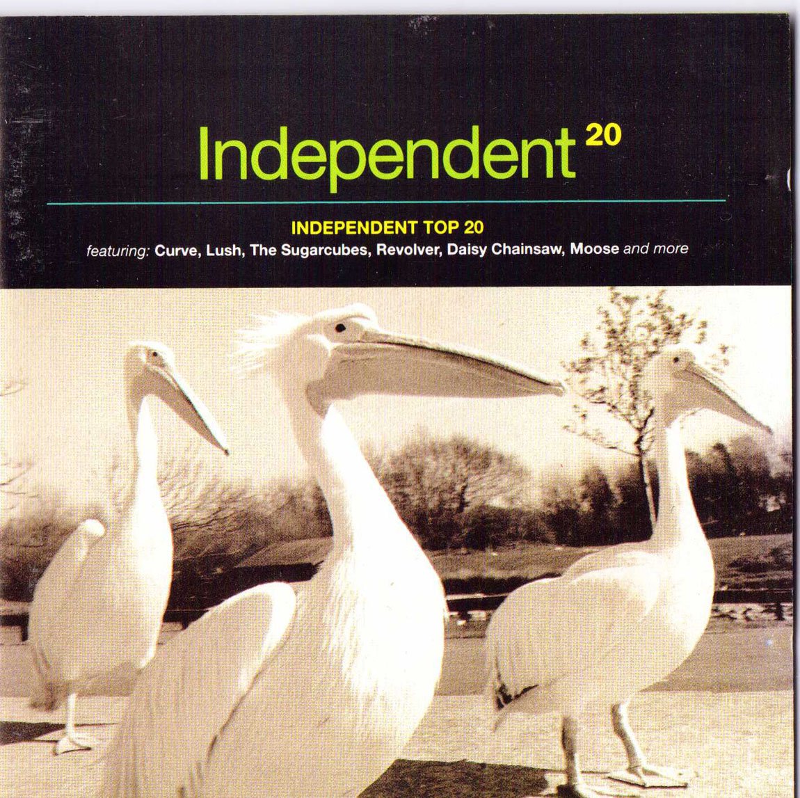 Product Image: Indie Top 20 Vol.14