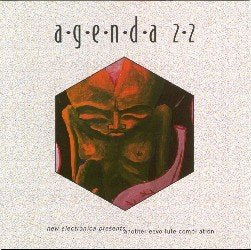 Product Image: Agenda 22