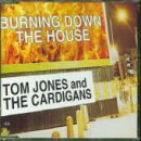 BURNING DOWN THE HOUSE CD UK GUT 1999 Pop