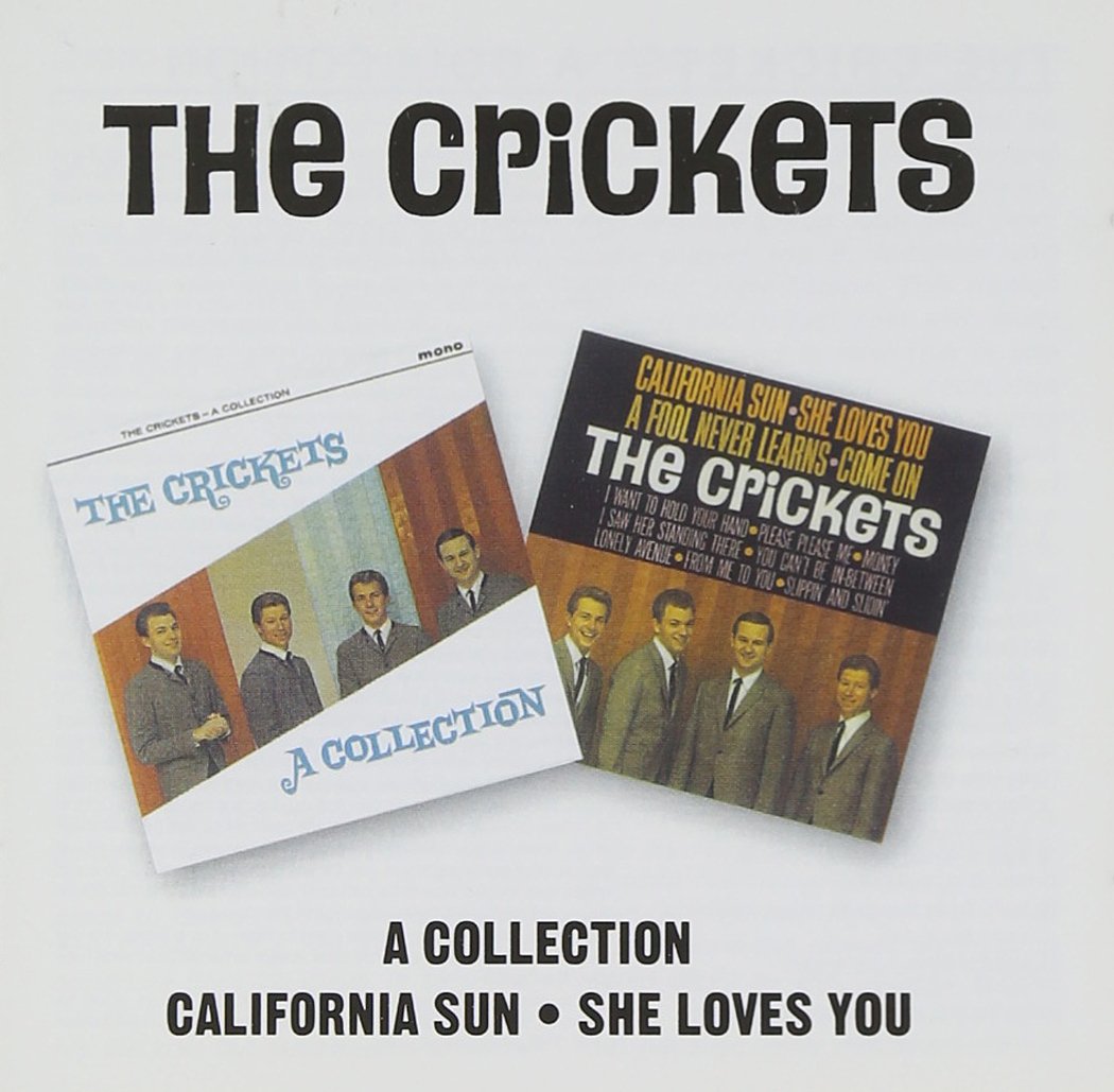 A Collection/California Sun-She Loves You Rock